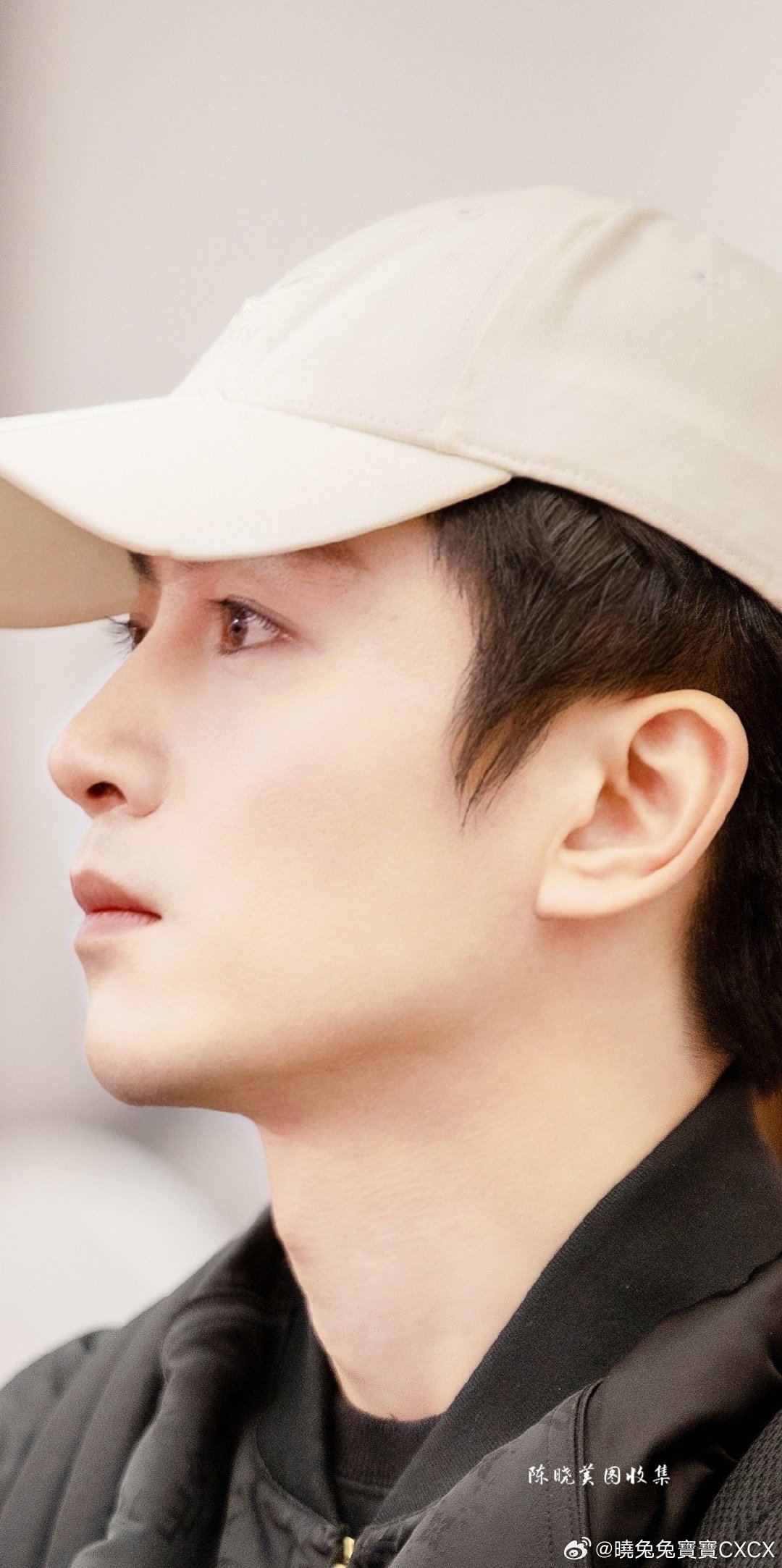 陈晓最新动态速递,揭秘他的最新行程与动态