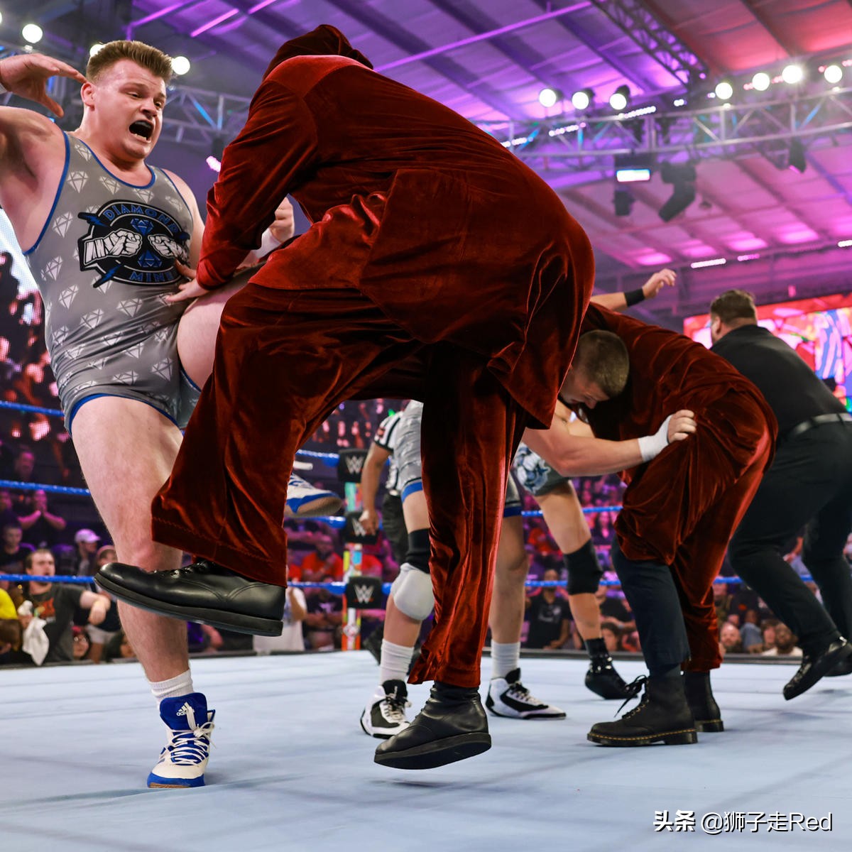 美国最新摔跤,多元视角分析下的体育盛宴