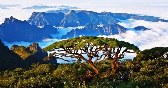 最新苏康码,自然美景探险之旅启程