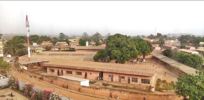 几内亚最新动态,探索非洲大陆的热点与发展趋势