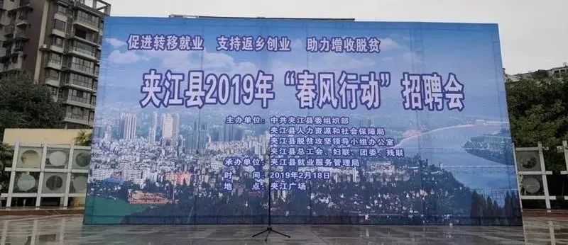 夹江最新招聘日常趣事概览