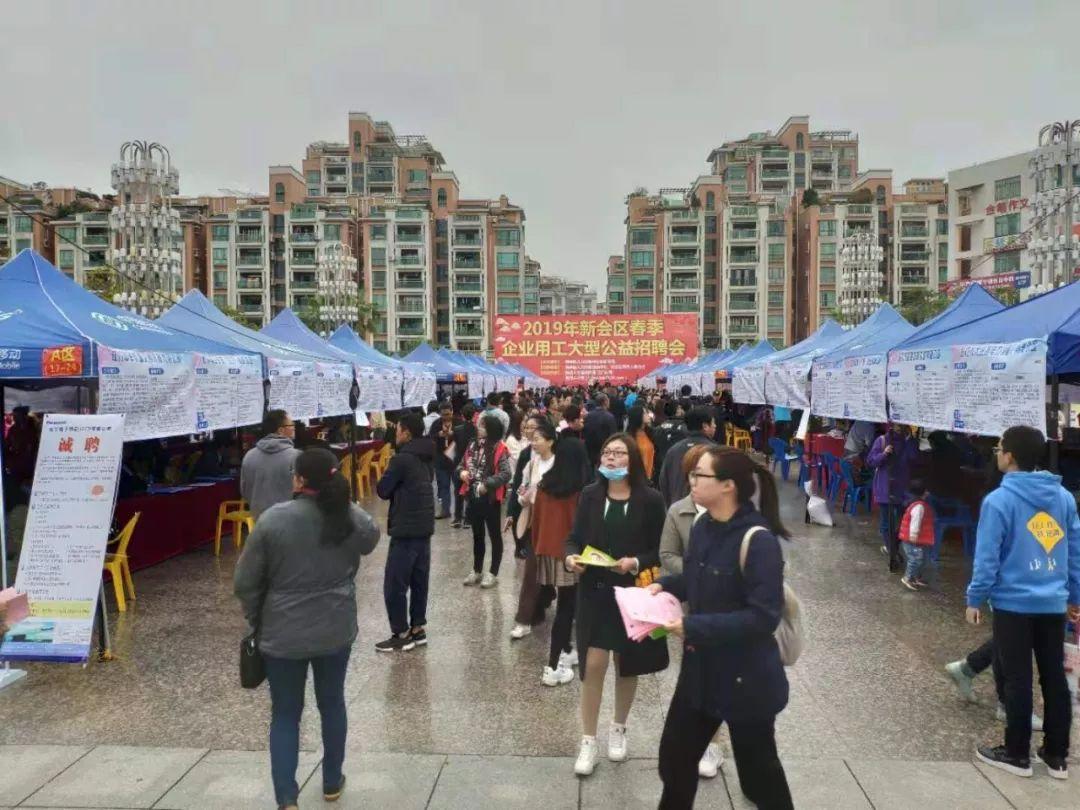 新会最新招聘信息详解,多元解读与个人立场分析