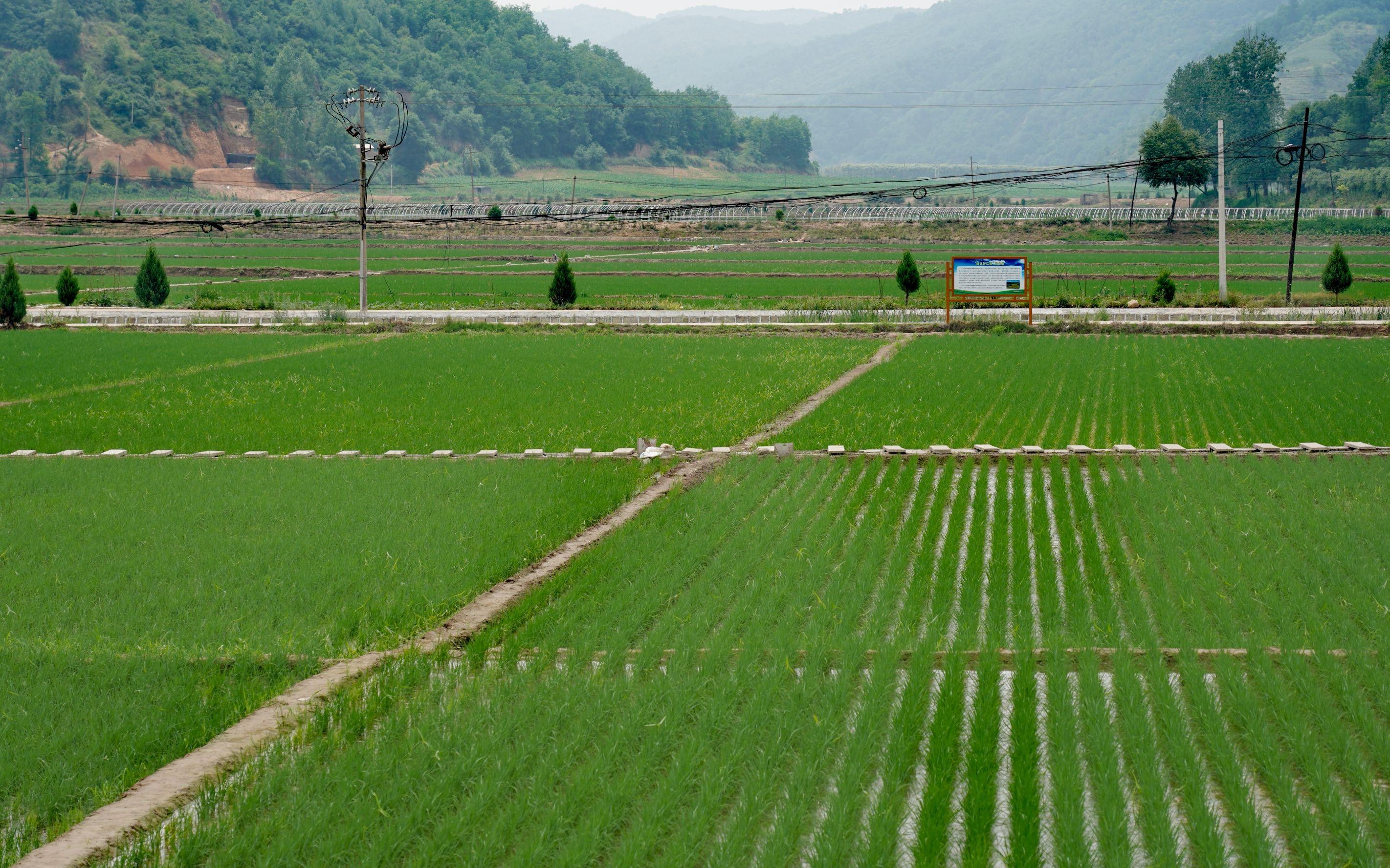 农业最新政策,时代的绿色篇章