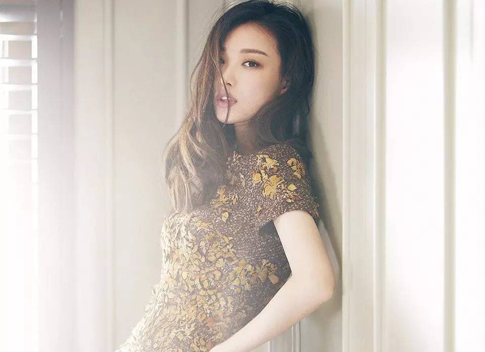 风间由美最新作品封面,自然之旅的心灵寻觅