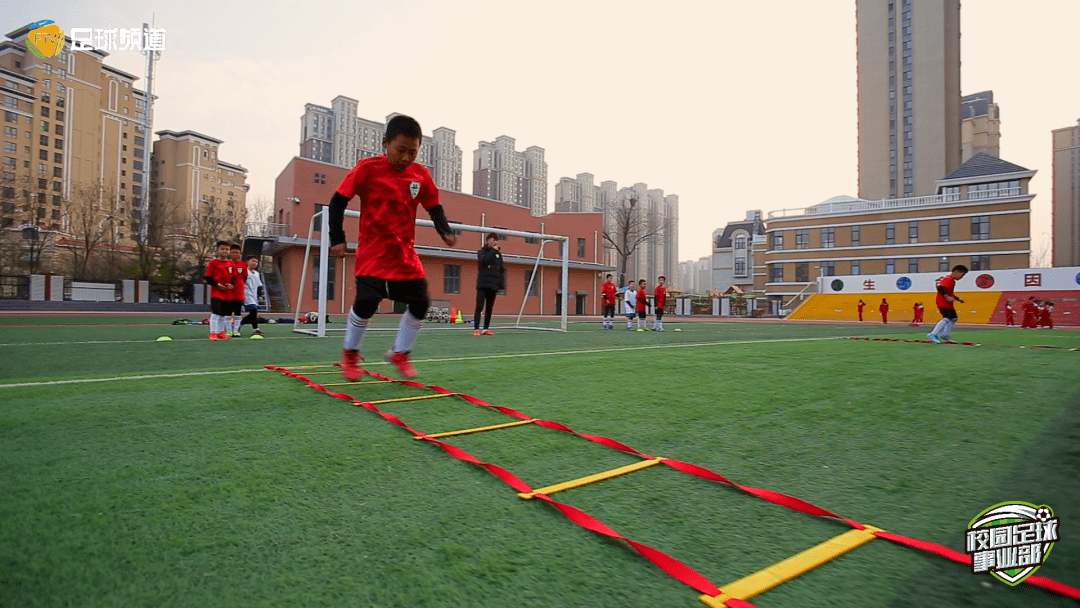 甘肃禁养区最新动态,政策观点分析与解读