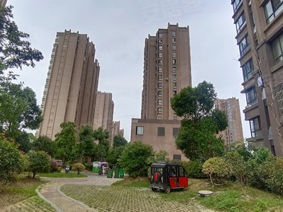 庐江新庐国际最新动态更新,最新消息揭秘