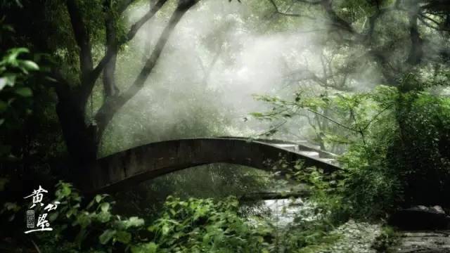 阴宅鬼妻清莲最新章节，自然美景探险之旅的神秘之旅