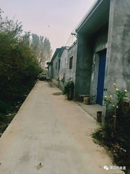 夏津最新二手楼房信息揭秘,小巷深处的隐藏宝藏