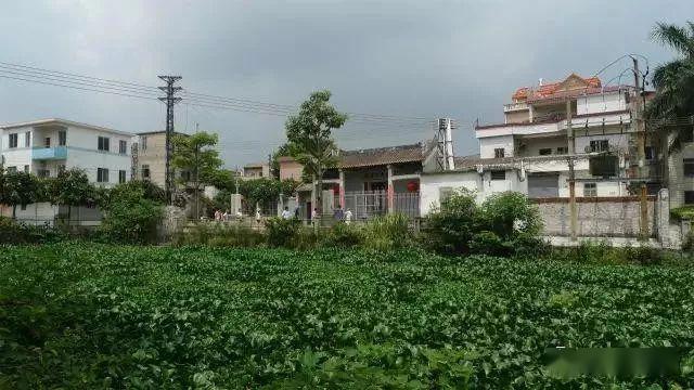 南京东流村最新动态及详细步骤指南