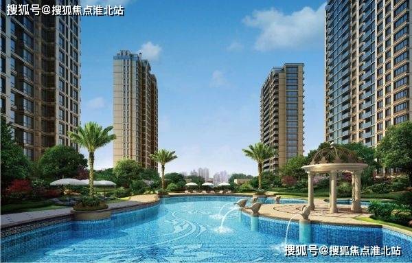 叶瓷沈君默最新章节深度解析与探讨