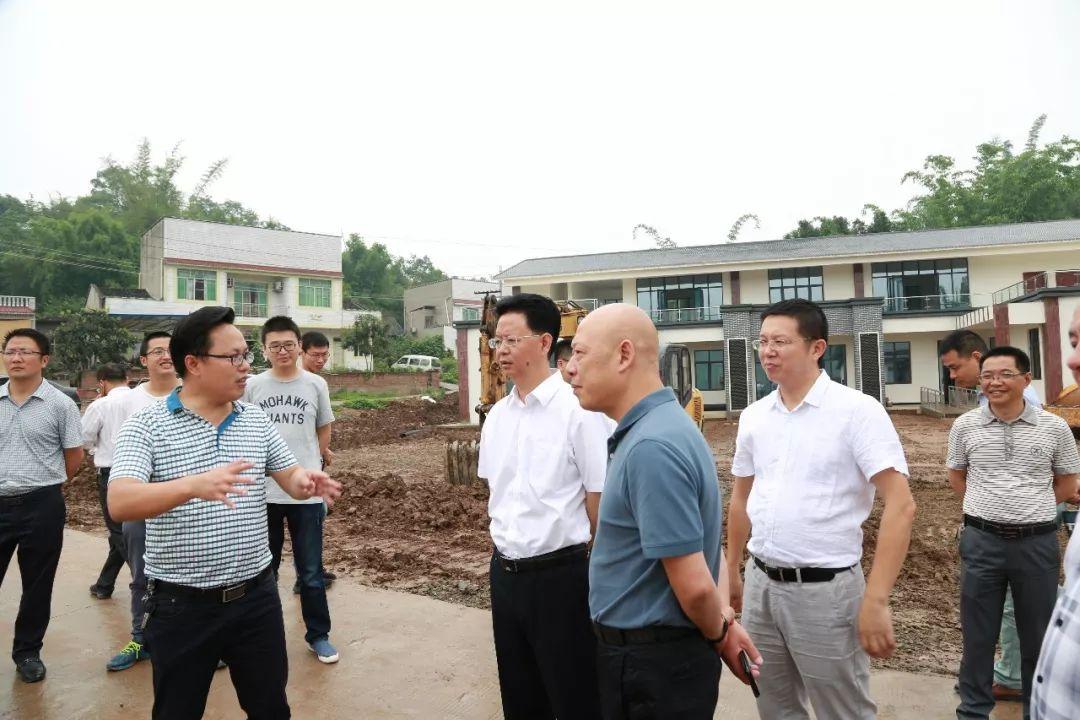 自贡市大安区最新规划详解,观点阐述与解读