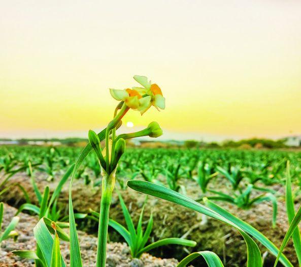 龙江春天的最新进展更新概述