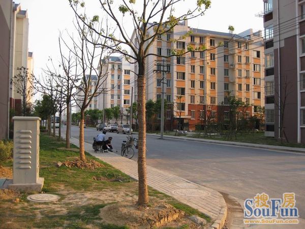 泰盈八千里最新房价,与自然美景的邂逅,探寻内心平和宁静的居所