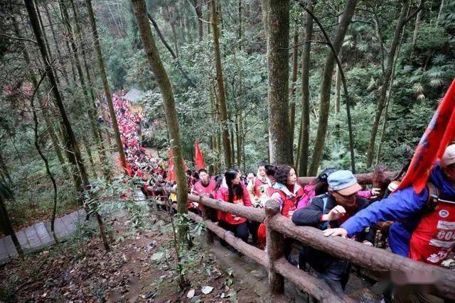 张家界大坪,最新动态与温馨日常趣事