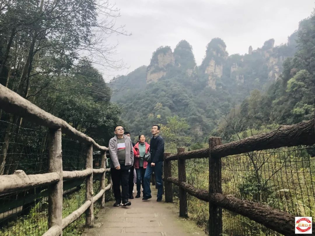 张家界大坪,最新动态与温馨日常趣事