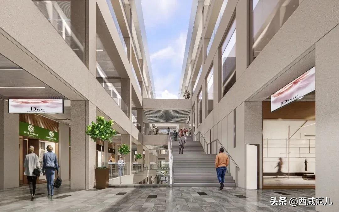 安科生物最新消息官网,前沿生物科技动态一手掌握