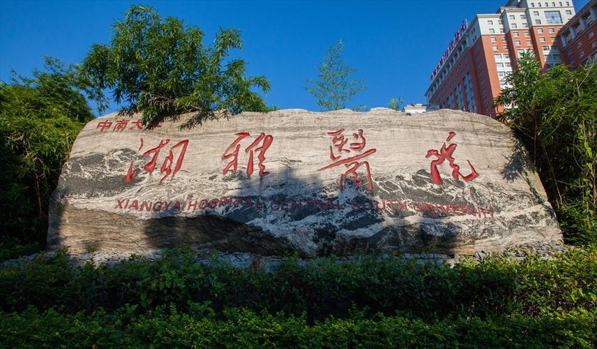 长沙湘雅五最新动态,进展、影响及各方观点深度探析