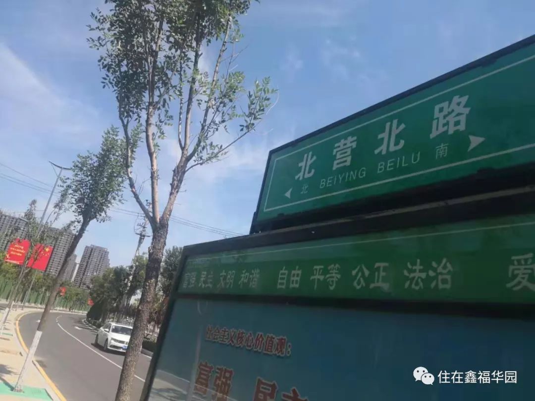 太原市龙堡街最新动态,探索自然美景的轻松之旅