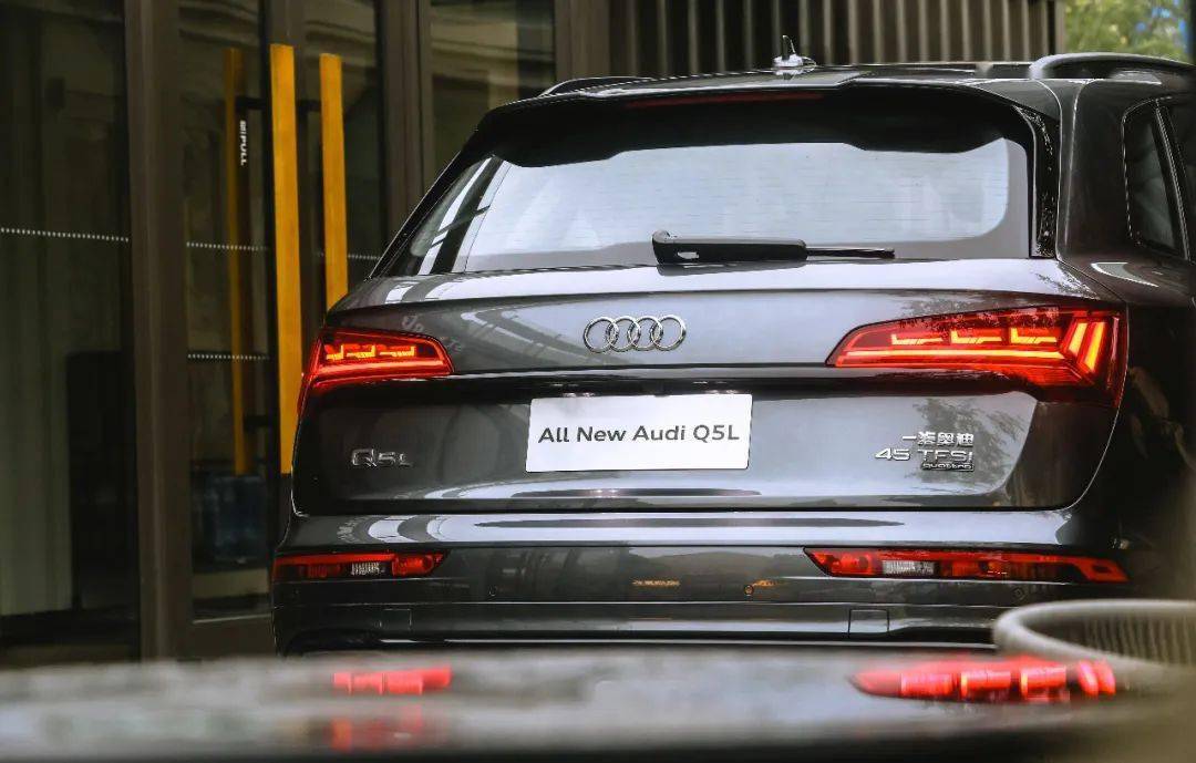 通海地震最新动态,今日消息揭示力量与成长的力量