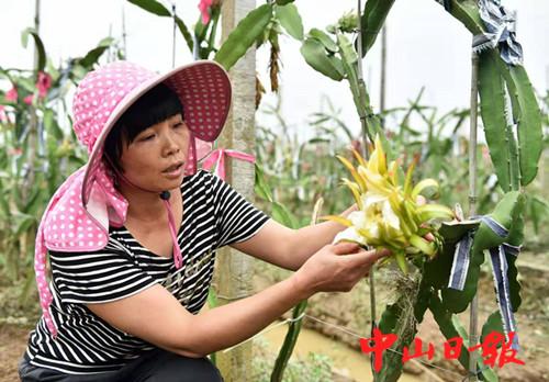 中山最新临时工招募动向,新机遇与解读