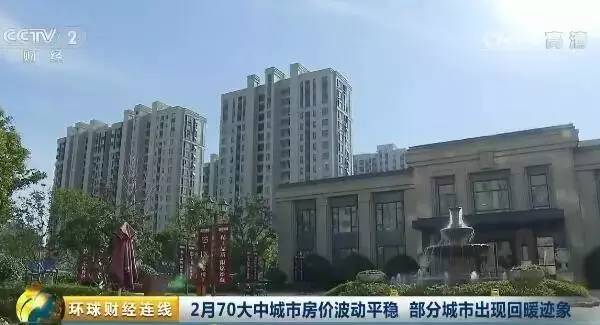 广西来宾房价最新动态,家园与友情的温馨故事启幕