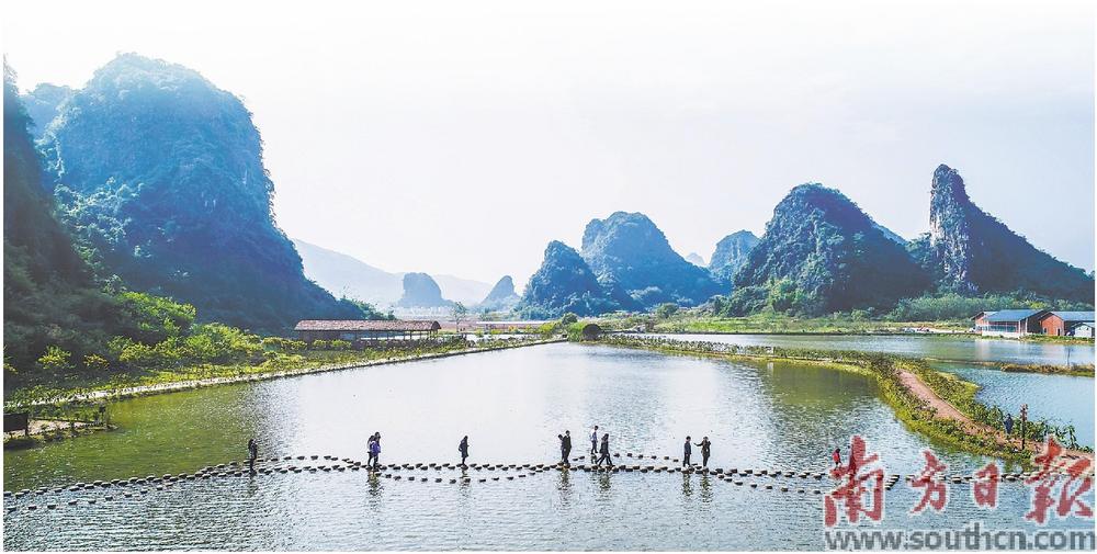 清远曾贤林与自然美景的邂逅,内心宁静之旅的最新消息