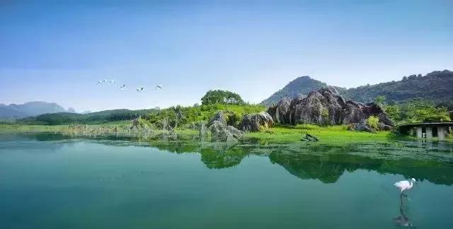 清远曾贤林与自然美景的邂逅,内心宁静之旅的最新消息