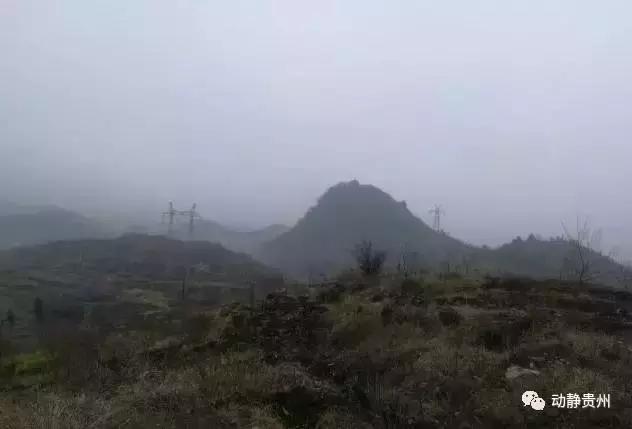 盘北经济开发区最新情况,盘北经济开发区最新情况
