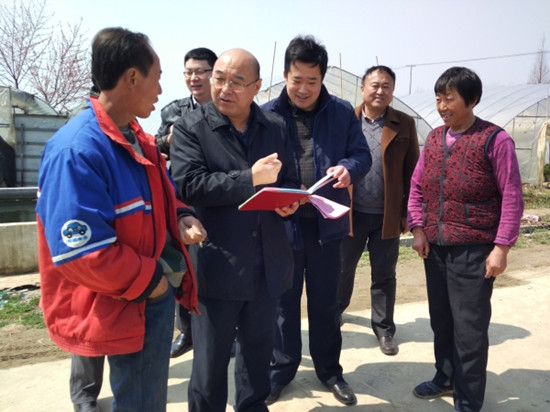 全椒最新动态，观点阐述与综合分析报告