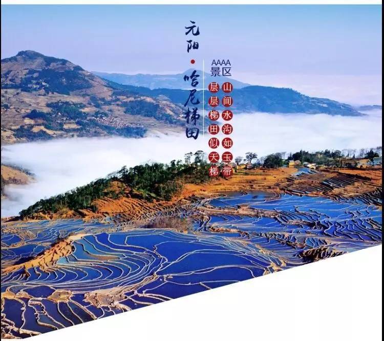 弱势儿童多元教育 第204页