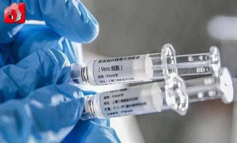 新冠疫苗最新城市，巷弄深处的神秘绿洲与隐秘小店探索
