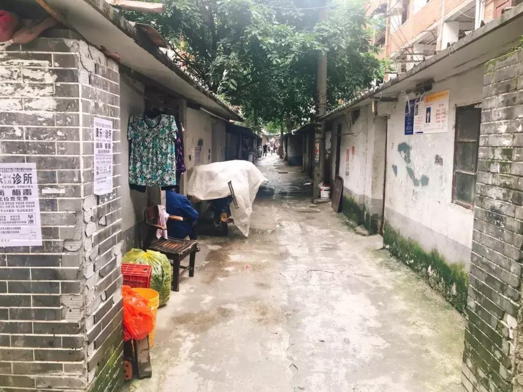 清华大学生医药校友会 第195页