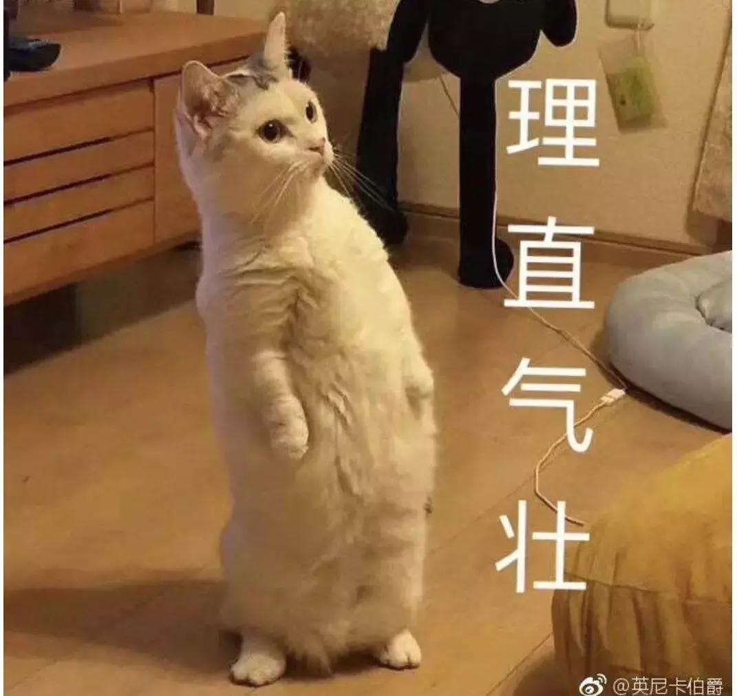清华大学生医药校友会 第172页