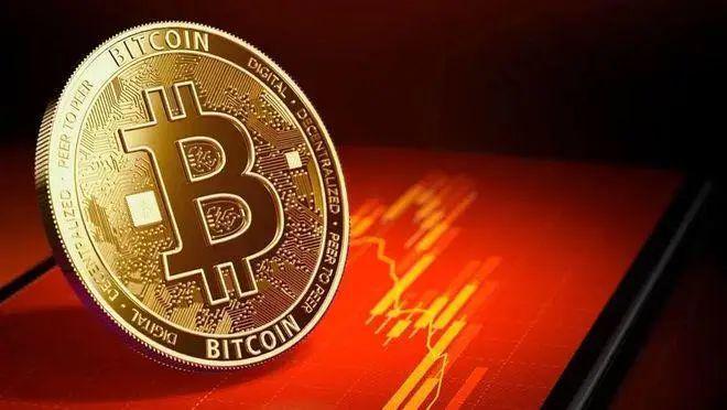 柚子币最新行情与探索自然美景之旅