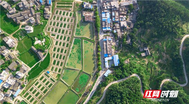 北京水木医学生物发展基金会 第168页