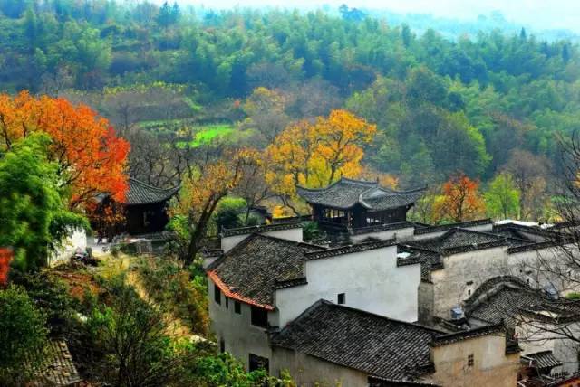岳风最新爱豆，与大自然共舞，探寻内心宁静乐章的旅程