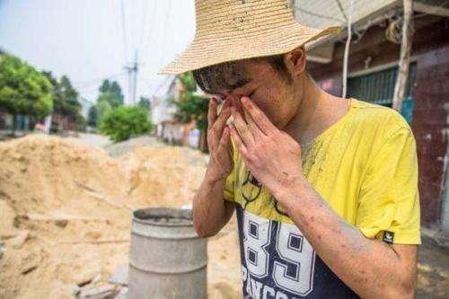 全国生猪最新价格深度分析与观点阐述