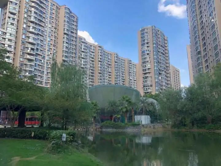 揭秘学区房最新楼盘与小巷中的隐藏特色小店探秘