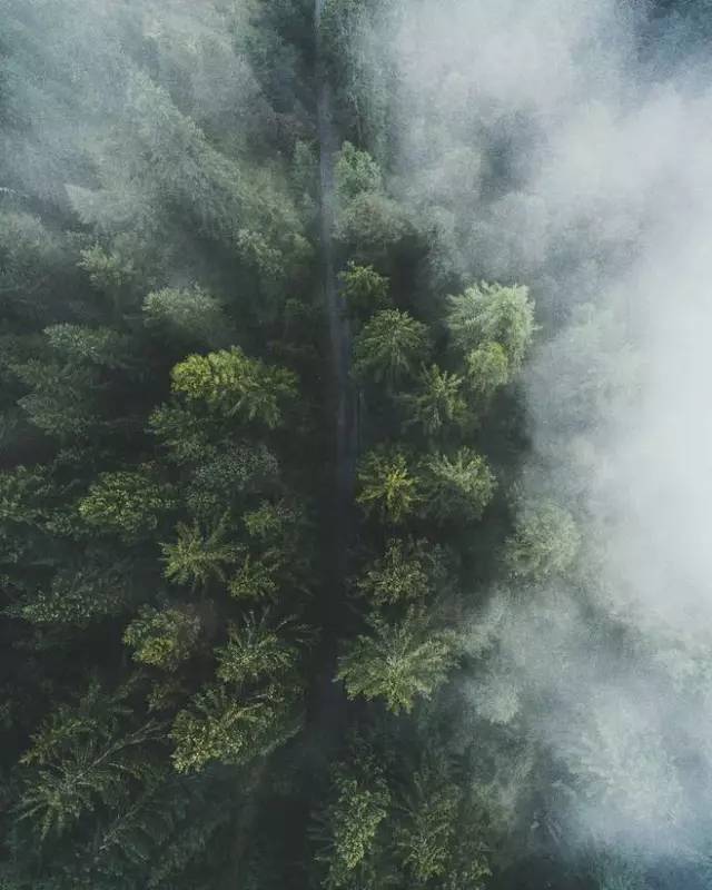 清华大学生医药校友会 第107页