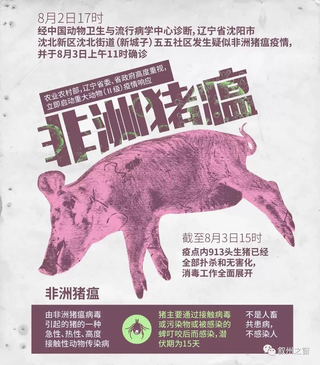 非洲猪瘟最新动态，全球关注，必须知晓！