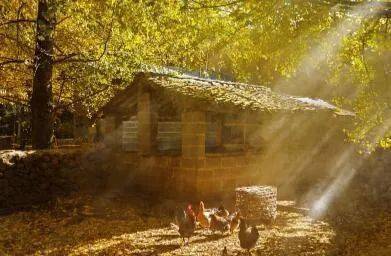 自然美景之旅，宝鉴最新章节探寻内心平和与喜悦的旅程