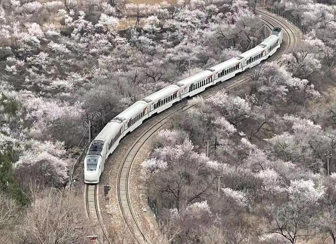 平谷线最新动态,旅程奇妙,日常温馨分享