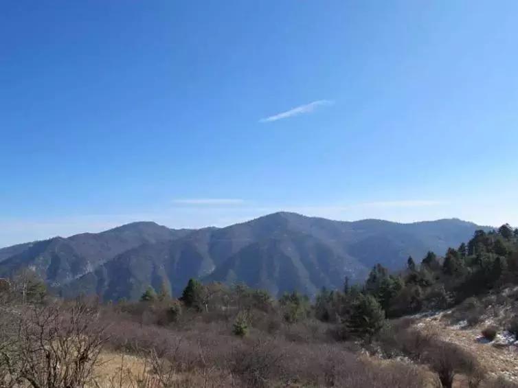 新区自然美景探险之旅，寻找内心的平和与宁静新闻速递
