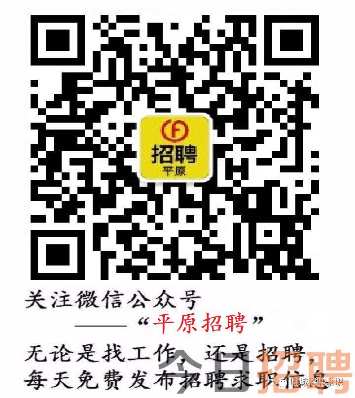 平原最新招工现象，深度分析与个人观点观察