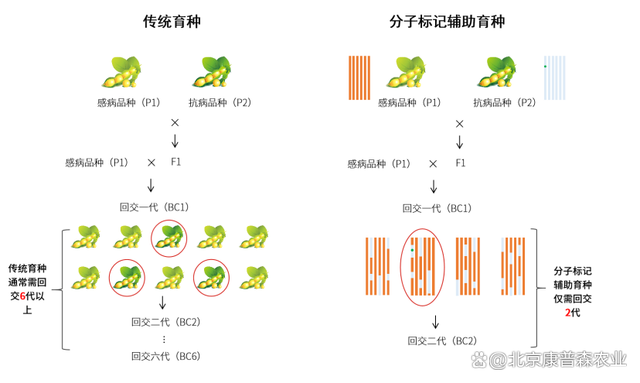 科技前沿揭秘，最新种子链接带你领略高科技产品风采