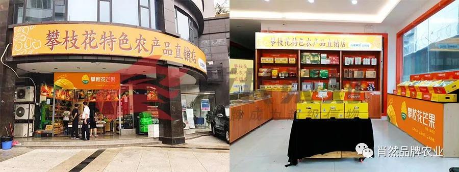 最新直销,开启自我成长之旅,拥抱学习与改变的魔力