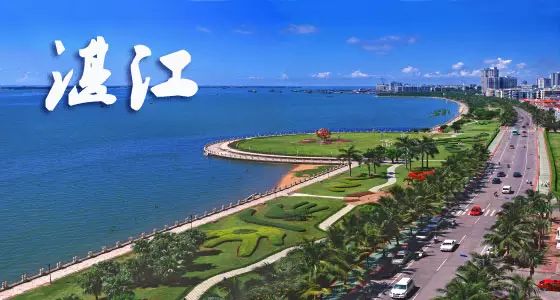 湛江最新动态，城市变迁中的学习之光