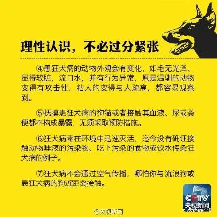 敦煌招聘网最新招聘,一段寻找与陪伴的温馨之旅