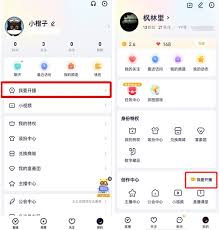 华为最新版本详细步骤指南及版本更新信息揭秘