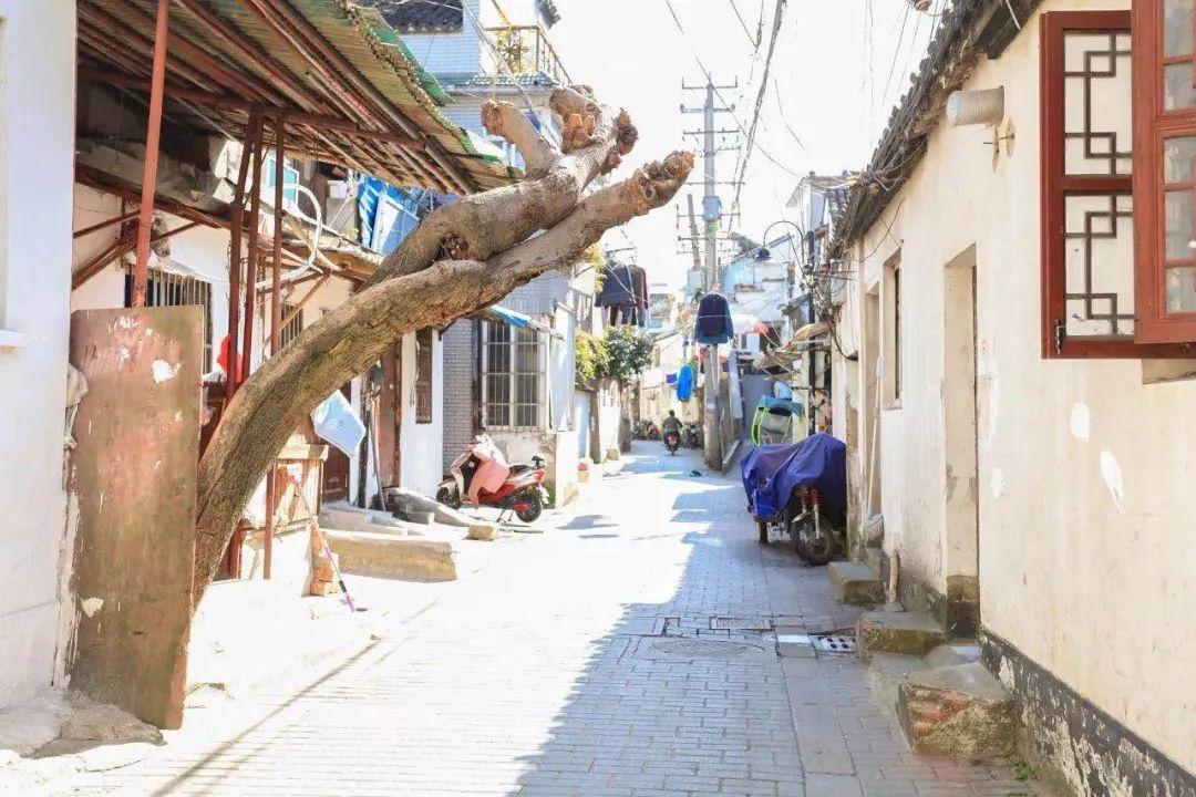 QQ最新图标带你探秘小巷宝藏，特色小店独家揭秘